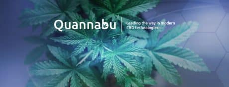 All About Quannabu, the Cryptocurrency Built for the Cannabis Industry