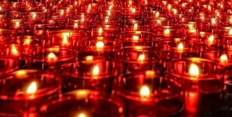 ARK Invest: Despite The 9 Red Candles, “Bitcoin’s Fundamentals Remain Strong”
