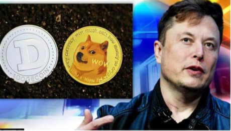 Is Elon Musk The Largest Holder Of Dogecoin With 28.52% Of Supply?