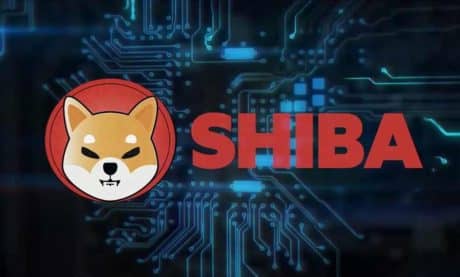 Shiba Inu (SHIB) Breaks 8th Place In Crypto Top 10 With Unprecedented Rally