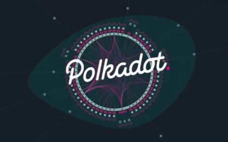 Polkadot Dev’t Activity Up In Last 7 Days, Despite Steady Drop In DOT Price