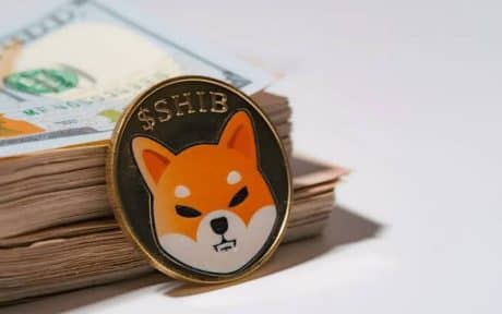 Shiba Inu Beats Out Cardano, Dogecoin On Top 10 Watch-Listed Tokens