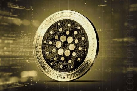 Cardano Investors In Japan Come Under Fire For $6 Million In Underreported Taxes