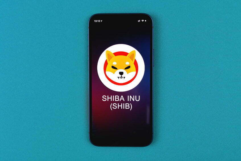 Should you buy Shiba Inu as the price get stuck along the support